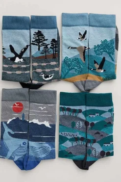 Socks<Seasalt Cornwall Box Of 4 Men's Postcard Socks Windyridge Mix