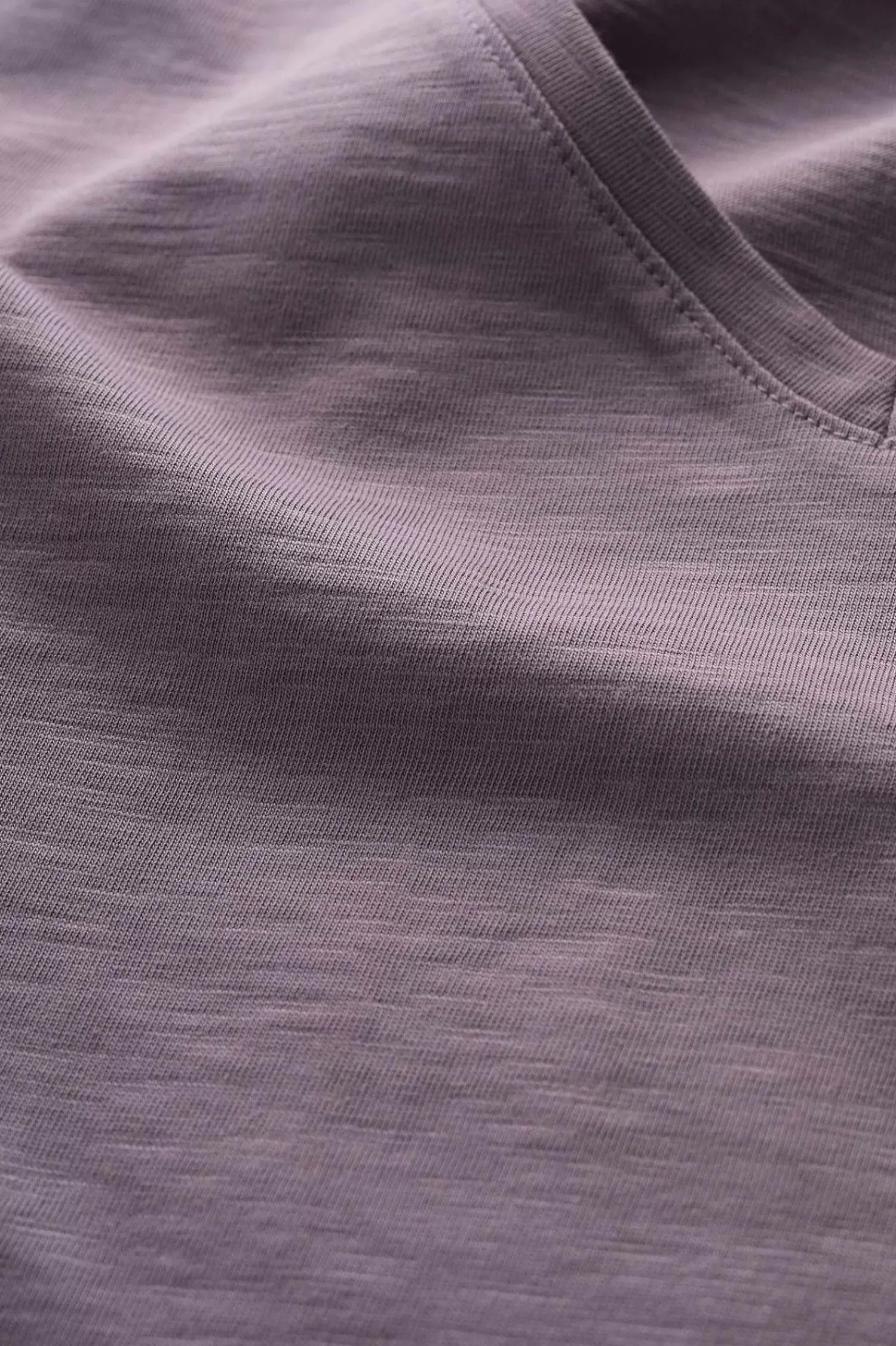 Tops<Seasalt Cornwall Burdock Organic Cotton V-Neck T-Shirt (Gots) Grape Thistle