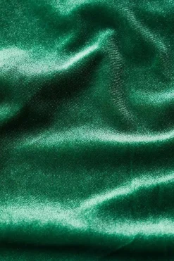 Tops<Seasalt Cornwall Capsule V-Neck Velvet Top Evergreen